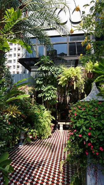 WOO Taiwan：高雄~WOO Taiwan 泰式料理~泰國清邁道地美食~華麗森林系餐廳~聚餐約會的好地點~