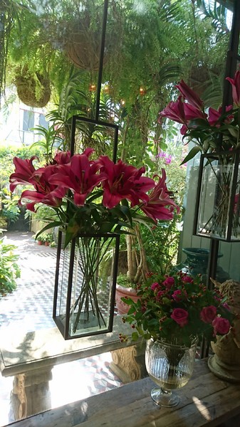 WOO Taiwan：高雄~WOO Taiwan 泰式料理~泰國清邁道地美食~華麗森林系餐廳~聚餐約會的好地點~