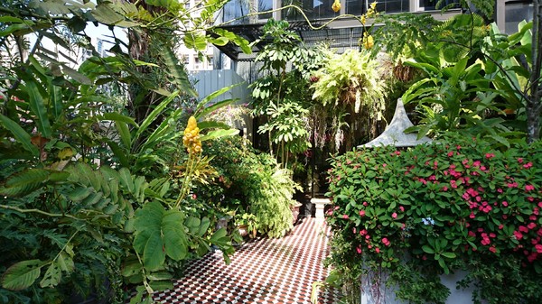 WOO Taiwan：高雄~WOO Taiwan 泰式料理~泰國清邁道地美食~華麗森林系餐廳~聚餐約會的好地點~