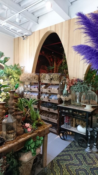 WOO Taiwan：高雄~WOO Taiwan 泰式料理~泰國清邁道地美食~華麗森林系餐廳~聚餐約會的好地點~