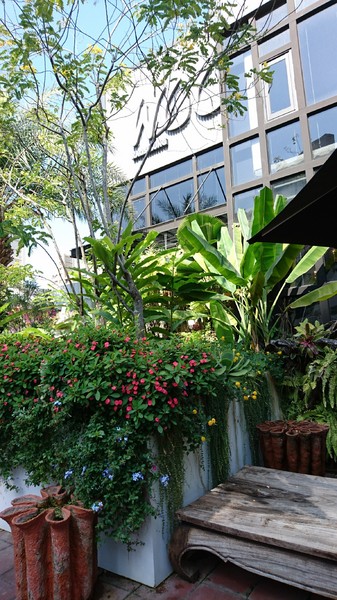 WOO Taiwan：高雄~WOO Taiwan 泰式料理~泰國清邁道地美食~華麗森林系餐廳~聚餐約會的好地點~