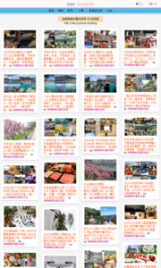 海綿飽飽的鳳梨城堡的旅遊牆