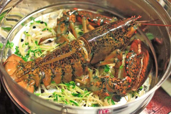 【蘆洲餐廳】恩家寶精緻鍋物-巨無霸加拿大直送龍蝦與創意冰火鍋