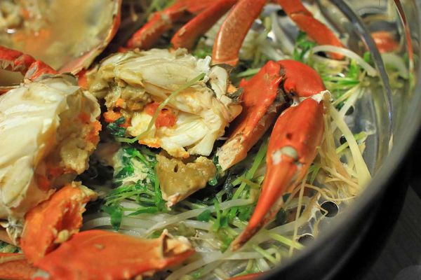 【蘆洲餐廳】恩家寶精緻鍋物-巨無霸加拿大直送龍蝦與創意冰火鍋