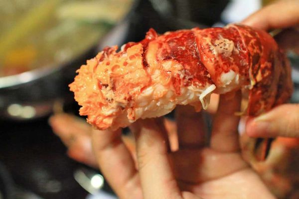 【蘆洲餐廳】恩家寶精緻鍋物-巨無霸加拿大直送龍蝦與創意冰火鍋