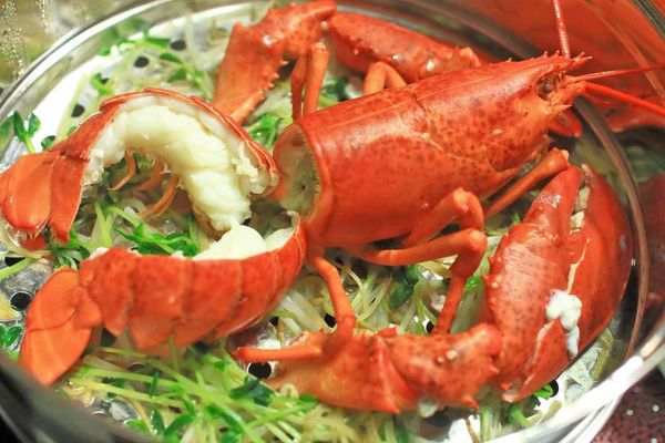 【蘆洲餐廳】恩家寶精緻鍋物-巨無霸加拿大直送龍蝦與創意冰火鍋