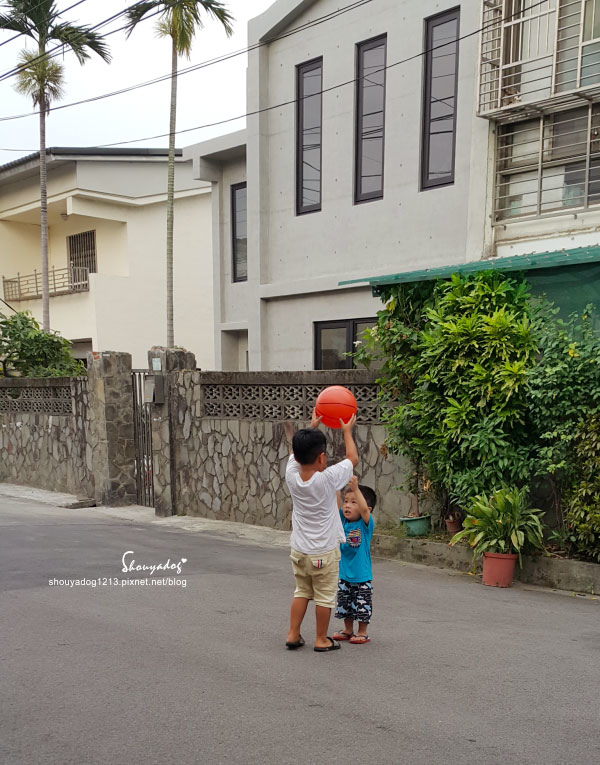 保力達清補養氣茶:【養生飲品】純天然茶飲新寵 保力達清補養氣茶 零卡無負擔