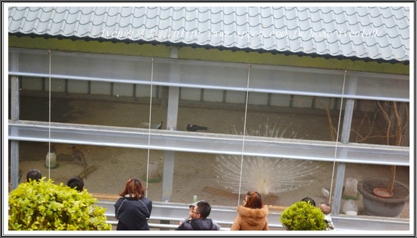 Sud Vista 蘇維拉莊園:《苗栗南庄景點》人間三月天驚豔在歐式城堡餐廳的日子-『Sud Vista 蘇維拉莊園餐廳』