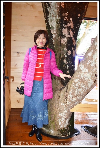 Sud Vista 蘇維拉莊園:《苗栗南庄景點》人間三月天驚豔在歐式城堡餐廳的日子-『Sud Vista 蘇維拉莊園餐廳』