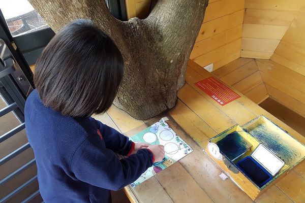 【苗栗/南庄】蘇維拉莊園 【苗栗/南庄】蘇維拉莊園