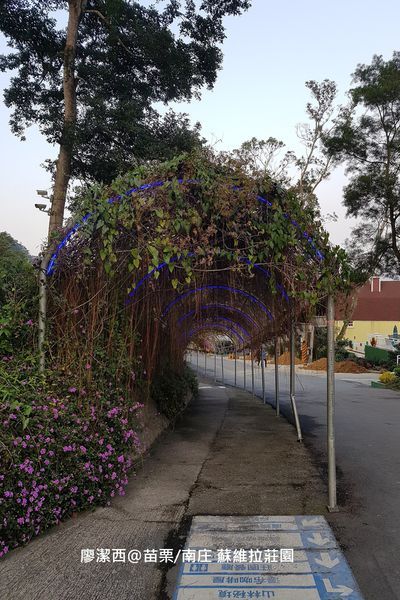 【苗栗/南庄】蘇維拉莊園 【苗栗/南庄】蘇維拉莊園