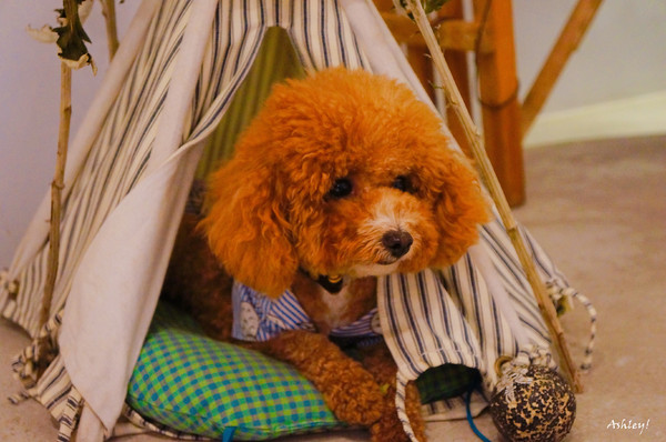 cm20170814___f6af68ac08e817a74db81f4da9e