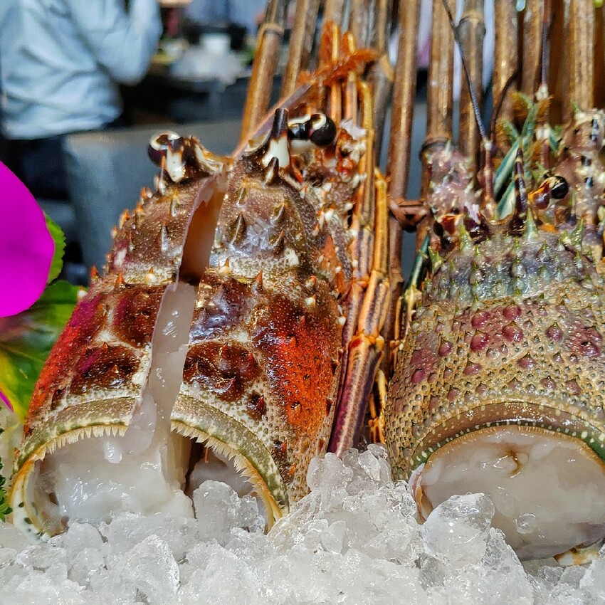 彰化 燒瓶子。大肆の鍋 員林店