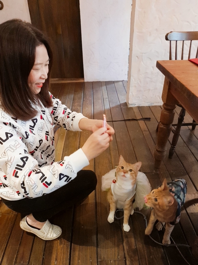 【台中.南區】JIFS COOKING SALON南法風情餐廳約會勝地。女孩絕對會超級滿意。寵物友善