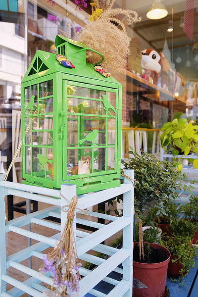 a_DSC4618-1_副本.jpg a_DSC4618-1_副本.jpg