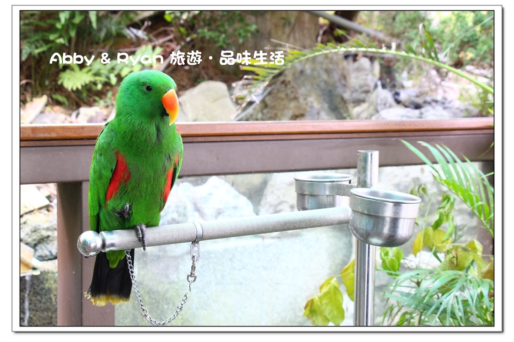 newIMG_1957.jpg newIMG_1957.jpg