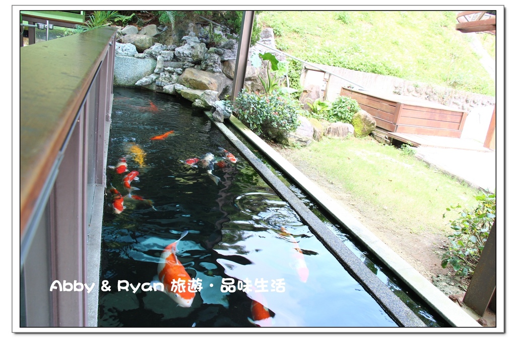 newIMG_1961.jpg newIMG_1961.jpg