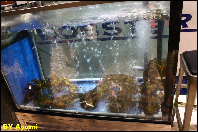 Captain Lobster：[愛評體驗團]台北信義區享受超奢華的Captain Lobster龍蝦堡套餐