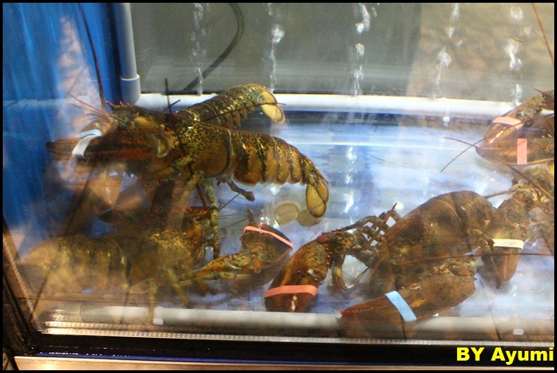 Captain Lobster：[愛評體驗團]台北信義區享受超奢華的Captain Lobster龍蝦堡套餐