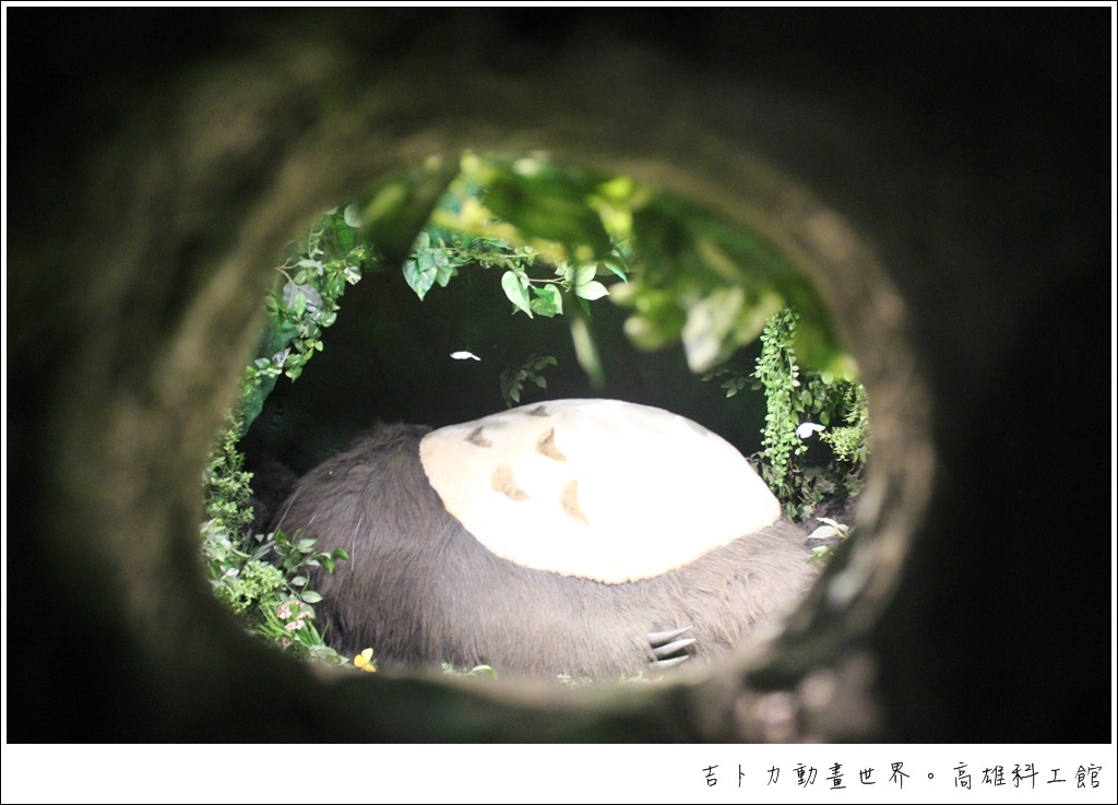 IMG_1428.JPG IMG_1428.JPG