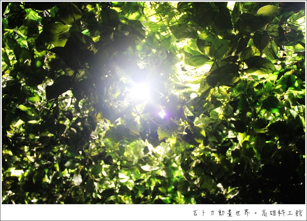 IMG_1420.JPG IMG_1420.JPG