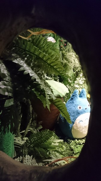 吉卜力的動畫世界特展(高雄科工館場)：高雄~吉卜力的動畫世界特展~走進宮崎駿的卡通世界裡~龍貓.小魔女.霍爾.無臉男就在你身邊~