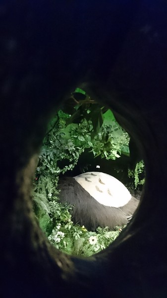 吉卜力的動畫世界特展(高雄科工館場)：高雄~吉卜力的動畫世界特展~走進宮崎駿的卡通世界裡~龍貓.小魔女.霍爾.無臉男就在你身邊~