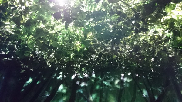 吉卜力的動畫世界特展(高雄科工館場)：高雄~吉卜力的動畫世界特展~走進宮崎駿的卡通世界裡~龍貓.小魔女.霍爾.無臉男就在你身邊~