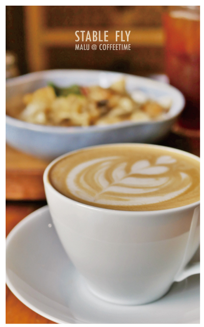 穩定飛行模式stablefly-23