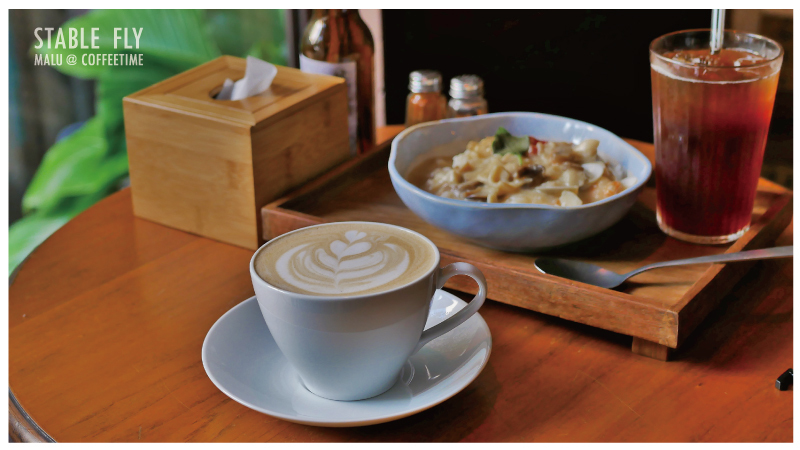 穩定飛行模式stablefly-21