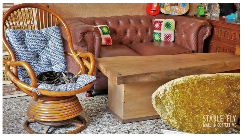 穩定飛行模式stablefly-13