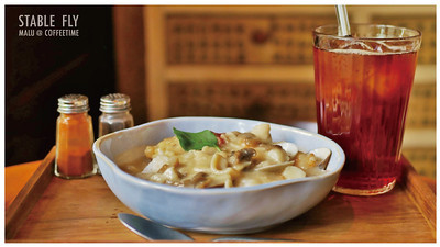 穩定飛行模式stablefly-20