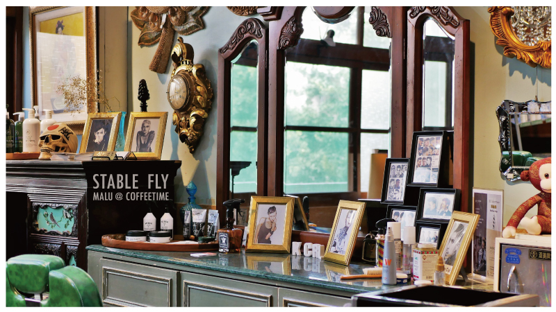 穩定飛行模式stablefly-16