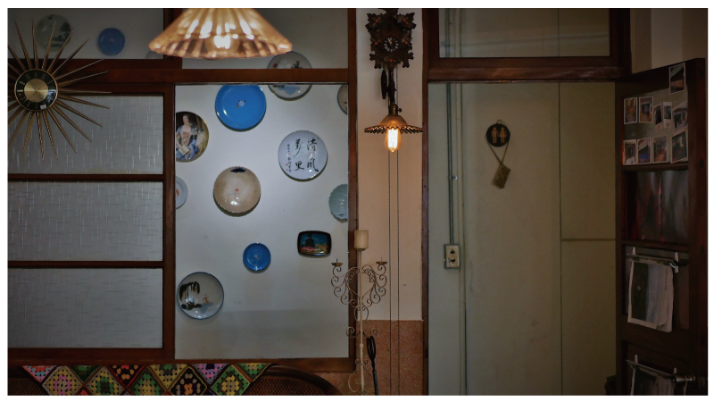 穩定飛行模式stablefly-25