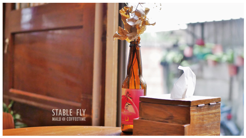 穩定飛行模式stablefly-10