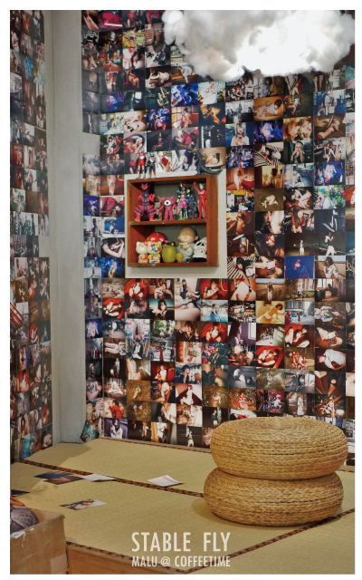 穩定飛行模式stablefly-15