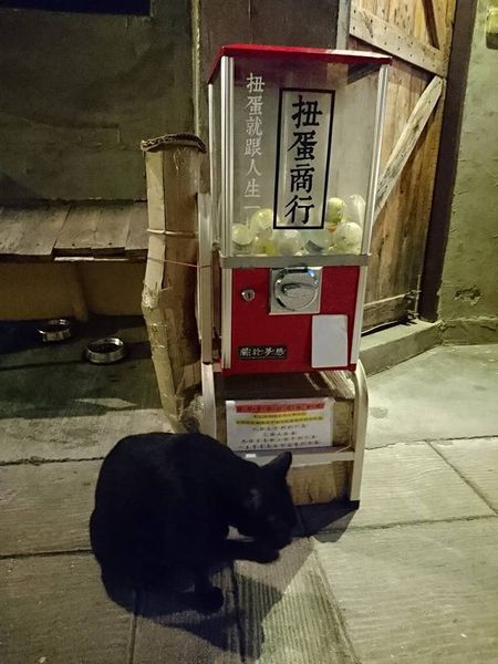 22885860_1674343479264001_6472399049129993938_n