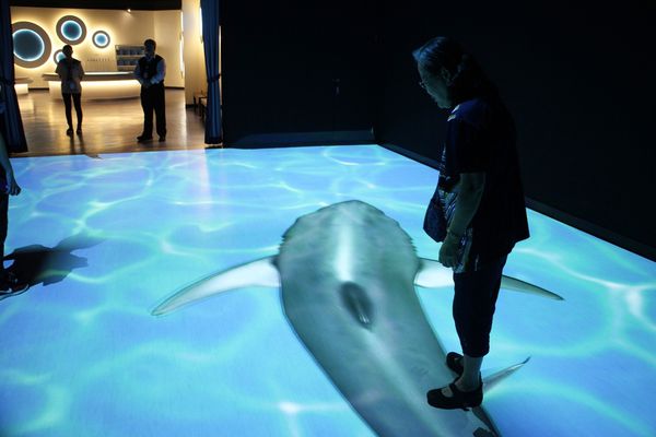 1060618-安永心食館-20 1060618-安永心食館-20