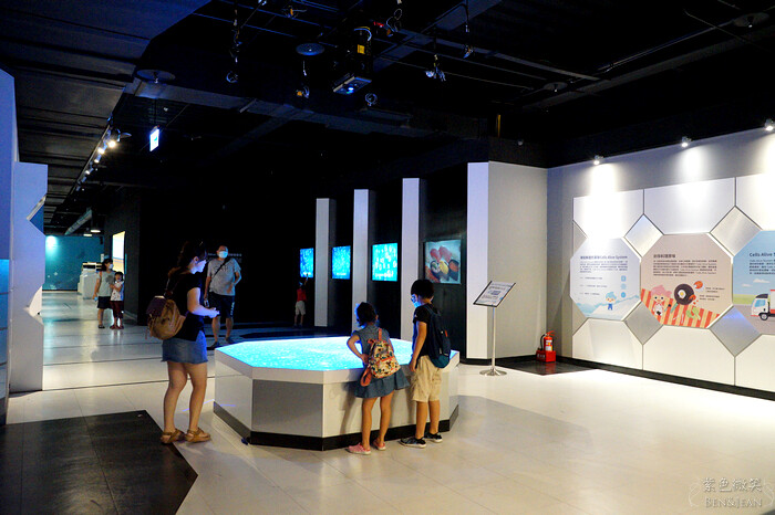 宜蘭親子景點「安永心食館」！海洋主題互動設施與特色DIY活動。