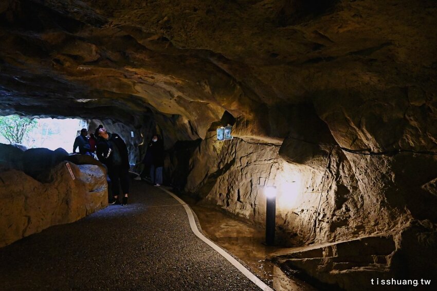 2020年宜蘭爆紅熱門IG打卡景點｜冬山河生態綠舟｜大樹公、神秘隧道媲美地中海山洞