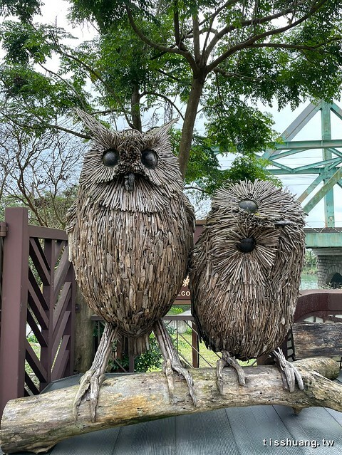 2020年宜蘭爆紅熱門IG打卡景點｜冬山河生態綠舟｜大樹公、神秘隧道媲美地中海山洞