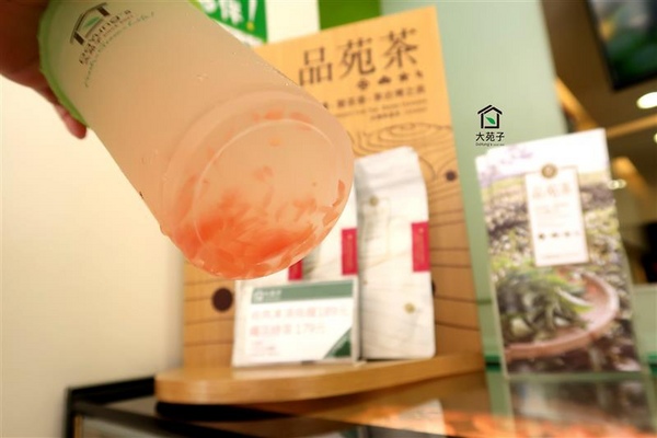 大苑子：大苑子 奇異恰恰 南投新鮮火龍果+奇異果漸層果汁 純天然水果飲料 珍珠奶茶/葡萄柚舒活~