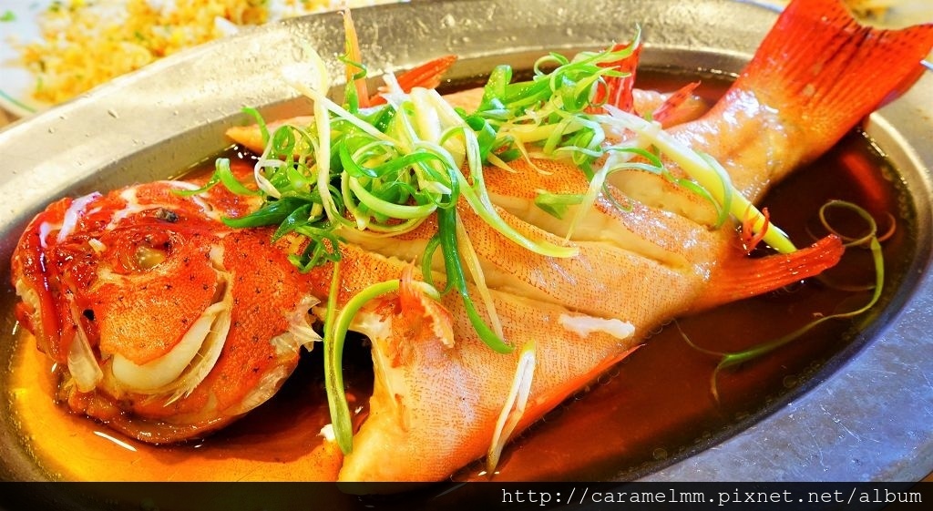 DSC02818.jpg DSC02818.jpg