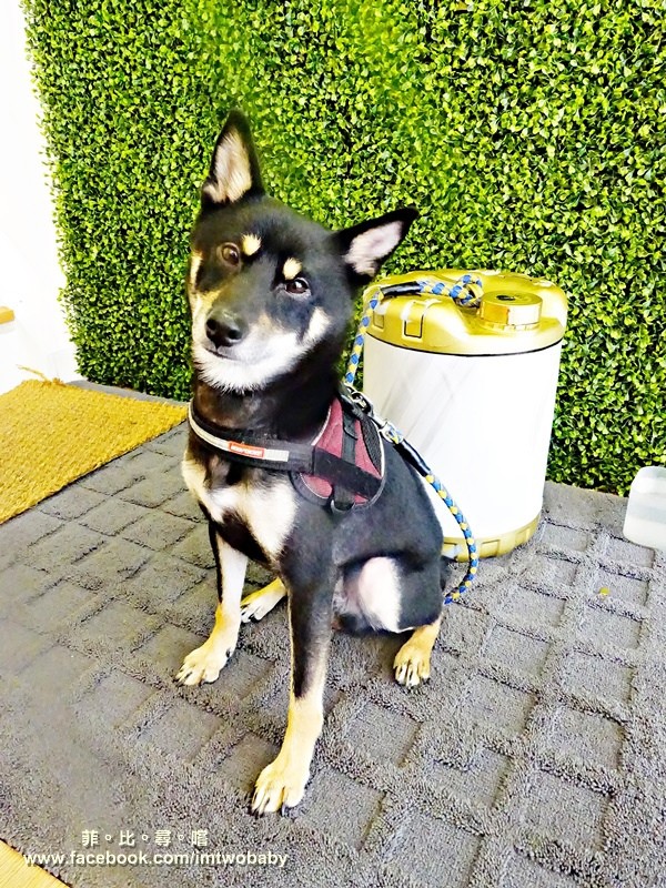 AL REVÉS顛倒restaurant:【捷運西門捷運站美食】 Al revés 顛倒餐廳-西門站 義式融合異國料理元素 碰撞出美妙創意新滋味 夢幻漸層冰沙IG打卡網美必拍!