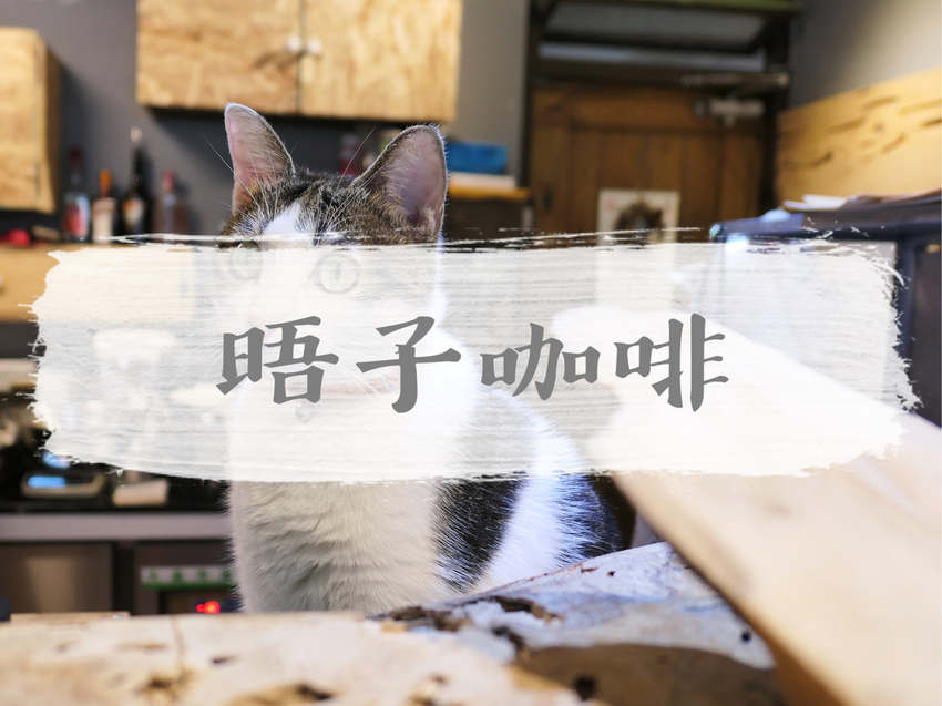 FOOD｜花蓮市區—杜妮娜滋滋烤魚｜三百元起！就能享用無菜單料理及無限滷肉飯｜和平路、東大門夜市