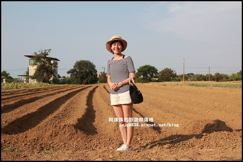 向陽農場6.JPG