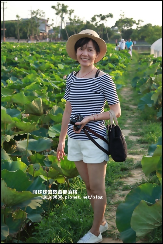 桃園蓮花季33.JPG