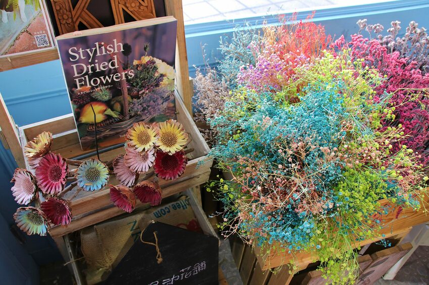 【桃園市中壢美食】有食候紅豆(中壢店)~繽紛夢幻的小歐洲色系│療癒的粉紅豬滾筒洗衣機│IG網紅美拍療癒打卡站 - 旅遊夜市趴趴走