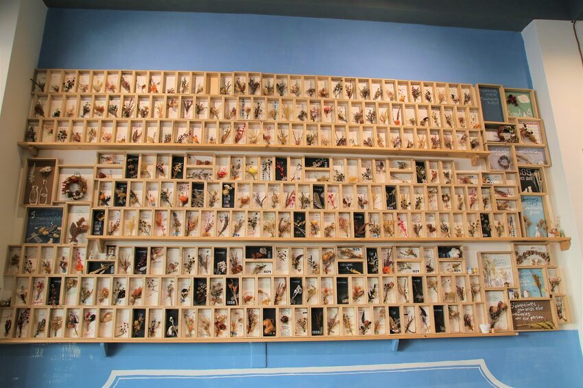 【桃園市中壢美食】有食候紅豆(中壢店)~繽紛夢幻的小歐洲色系│療癒的粉紅豬滾筒洗衣機│IG網紅美拍療癒打卡站 - 旅遊夜市趴趴走