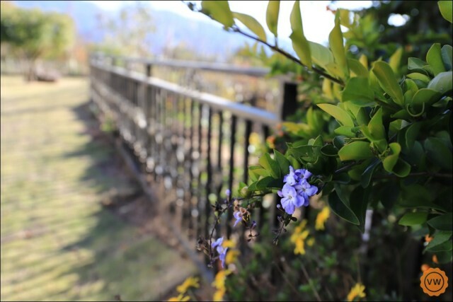 南投民宿│清境景觀民宿推薦:駿亦景觀民宿
